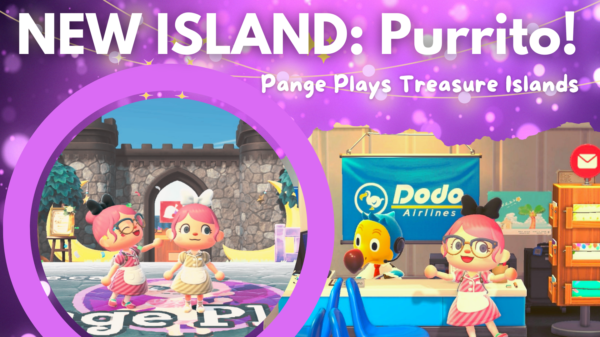 Introducing Purrito: More 24/7 Animal Crossing Treasure Island Codes! -  Pange Plays